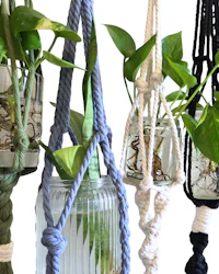 a group of rope hanging planters with plants hanging from them