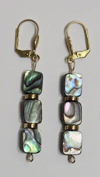 a pair of abalone shell earrings with gold plated hooks